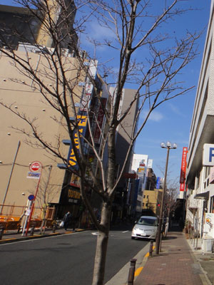 15分歩く途中