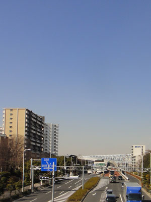 歩道橋からの景色
