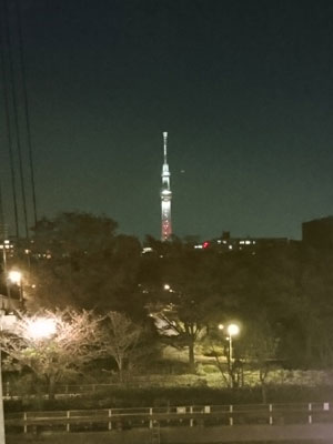 スカイツリー