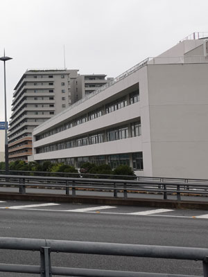 豊洲の大学
