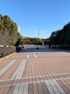 仕事に煮詰まるとおじさんが逃亡していた公園