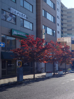 これは久米川駅前