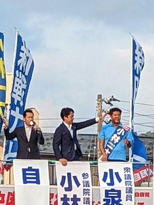送られてきた写真