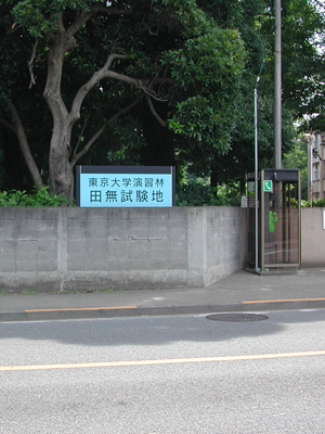 東大農場に豚っていたっけ？