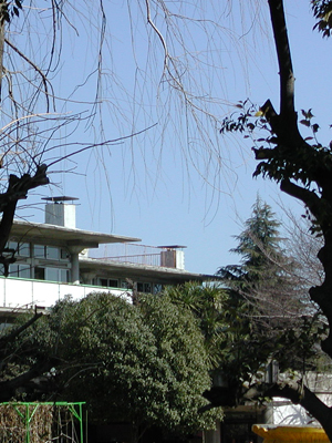 母校の公立小学校