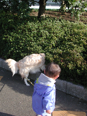 犬と子供