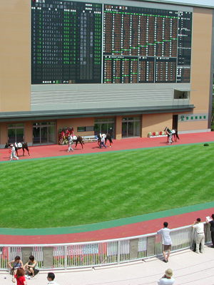 直線が出来た年