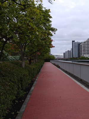 舗装の色が変わったんだ