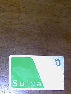 まだペンギンが入る前