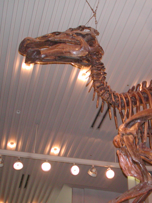 ユネスコ村大恐竜館