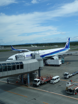 今のところ最後に乗った飛行機